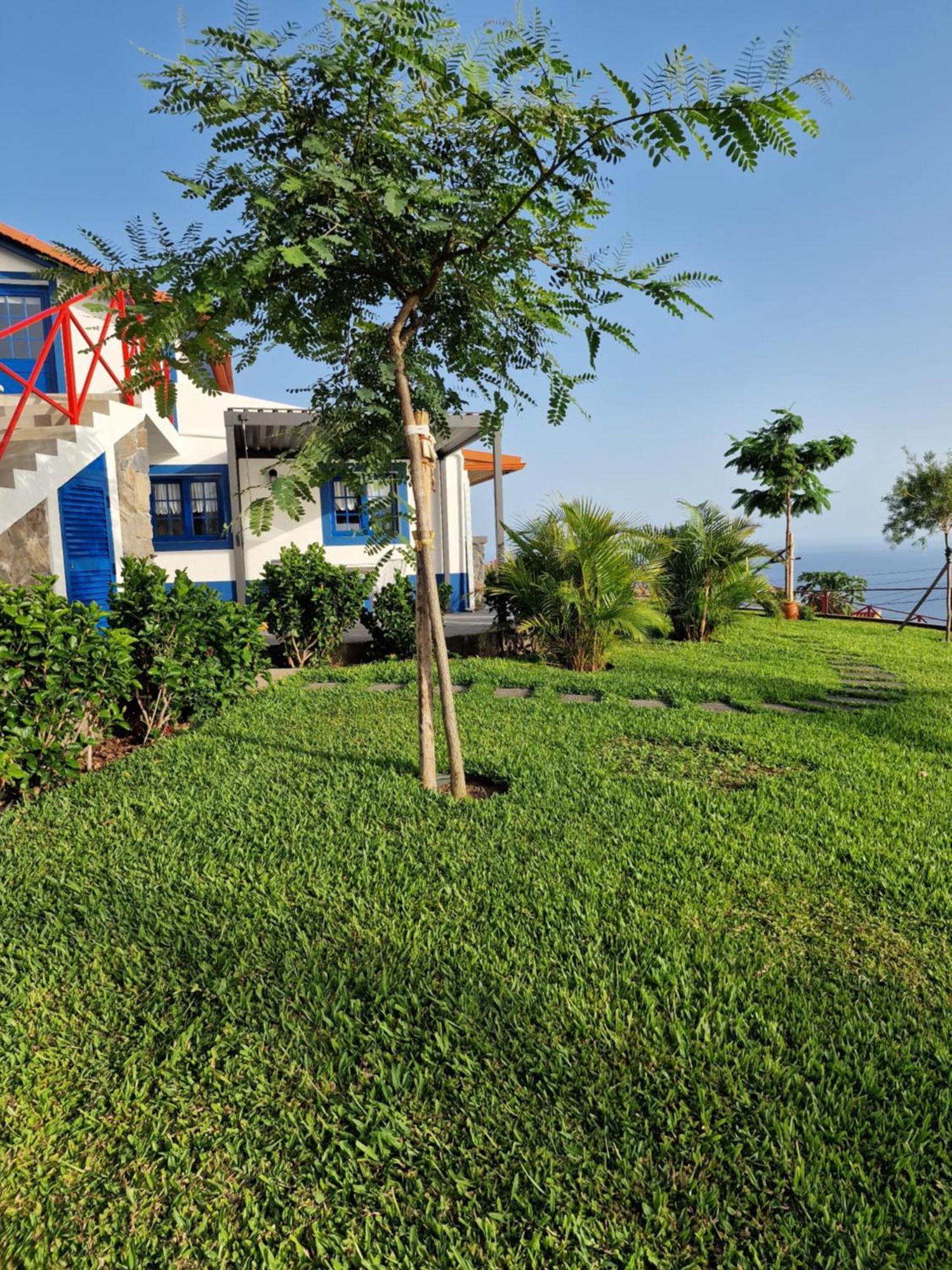 Casa Villa Dinastia Sotao Y Casa Villa Dinastia Miramar Ribeira Brava Exterior foto