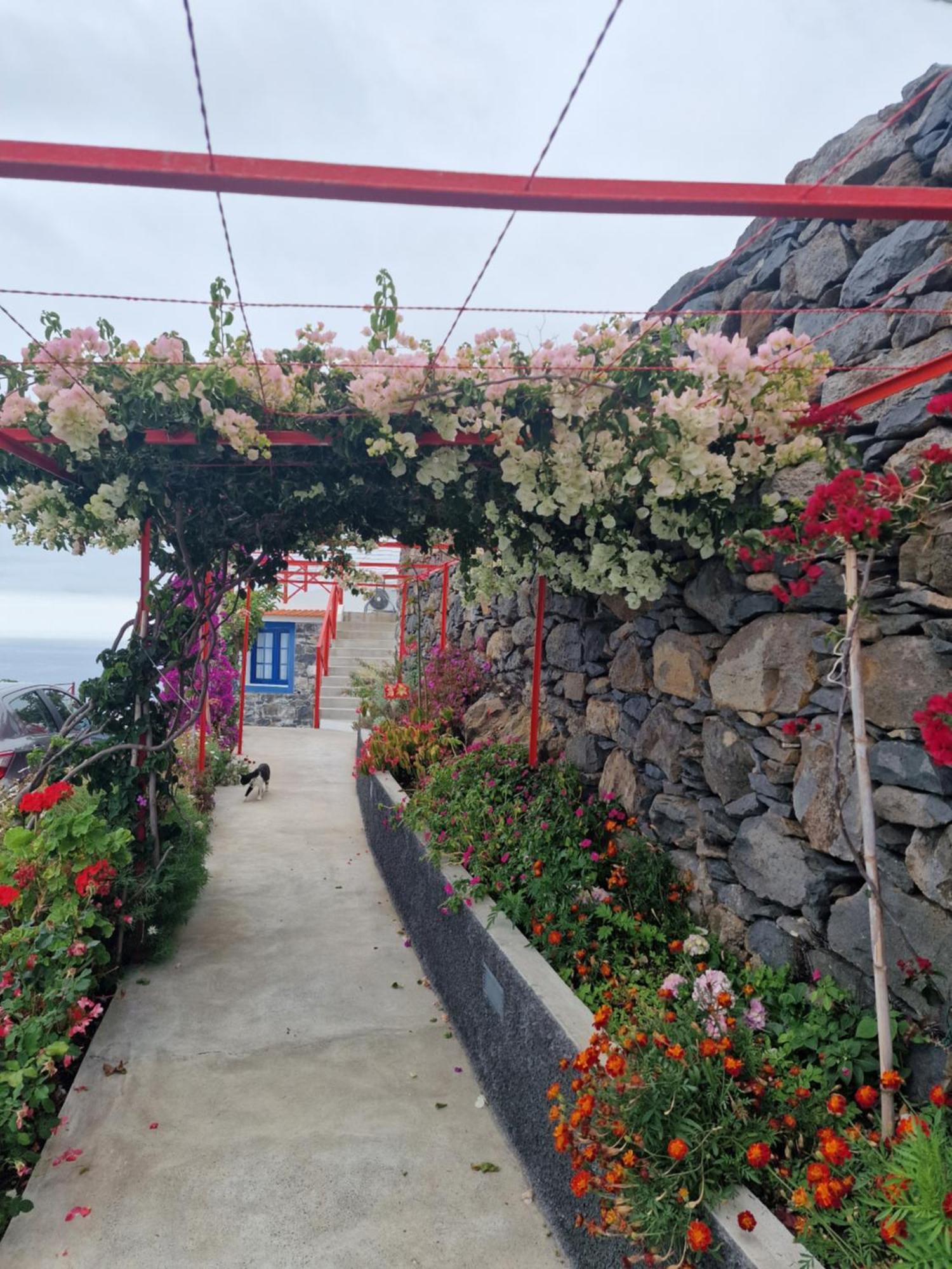Casa Villa Dinastia Sotao Y Casa Villa Dinastia Miramar Ribeira Brava Exterior foto
